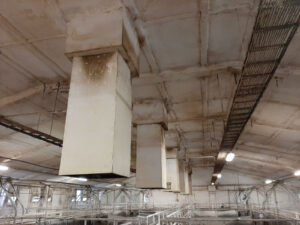 Tepelná izolace stropu stáje - původní stav